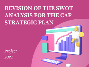 Revision of the Strengths, Weaknesses, Opportunities and Threats Analysis for the CAP Strategic Plan in Accordance with the EC’s Comments