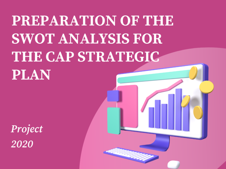 SWOT Preparation